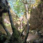 Aven Serre Tintou 05